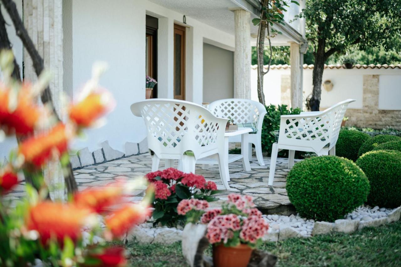 Markovic Village Apartments 울친 외부 사진